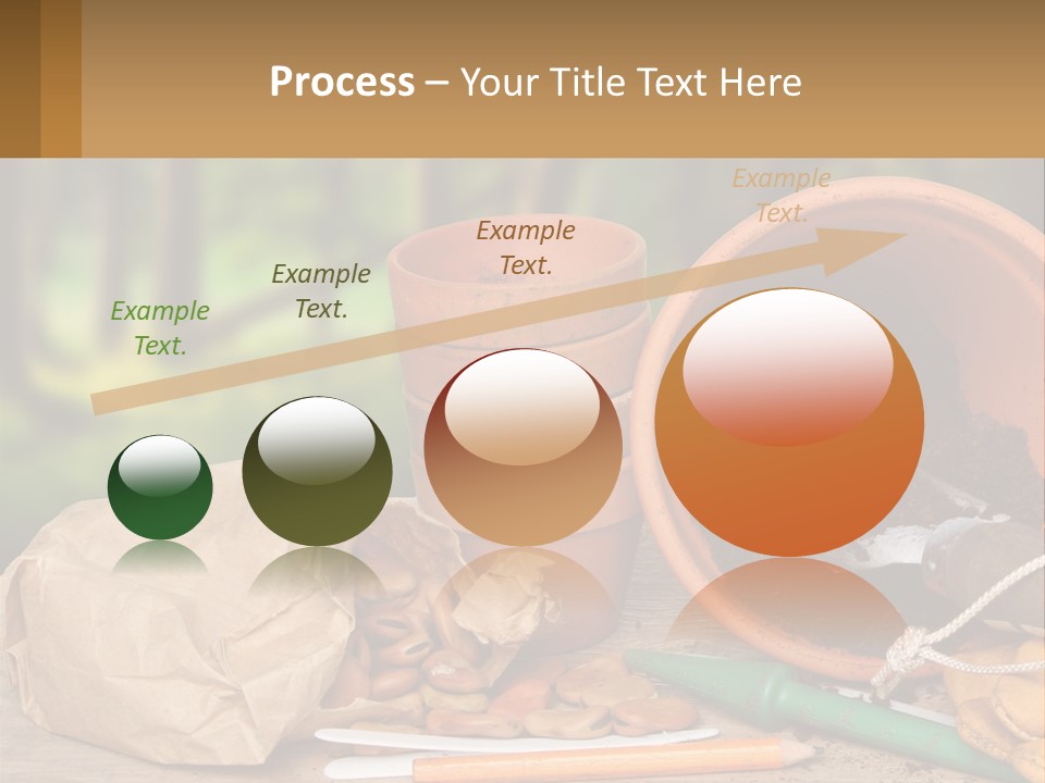 A Potted Plant Next To A Pile Of Dirt PowerPoint Template