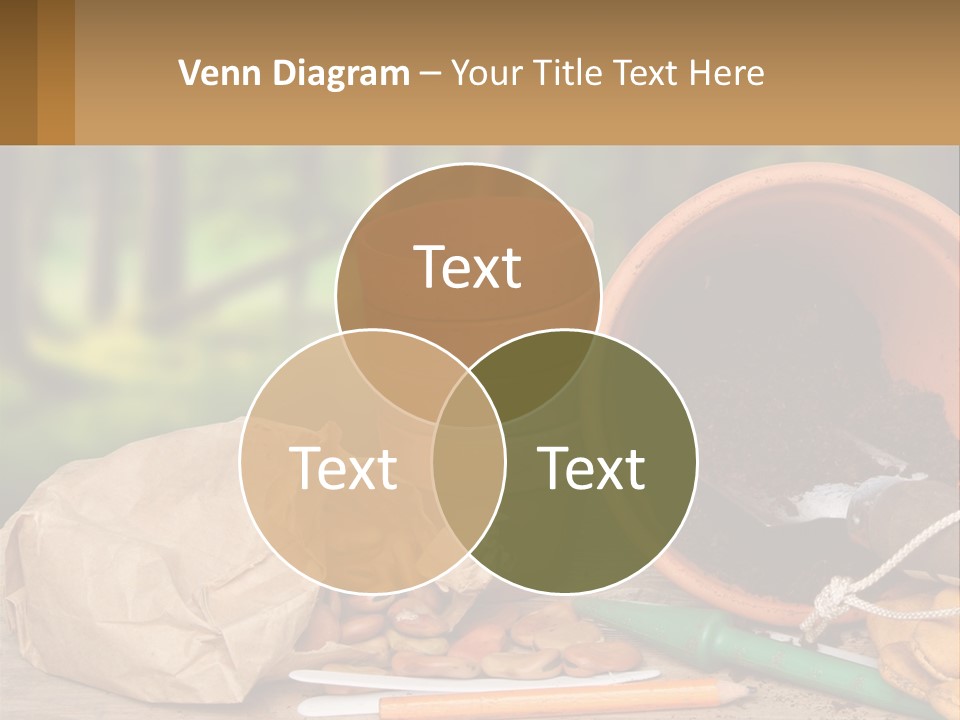 A Potted Plant Next To A Pile Of Dirt PowerPoint Template