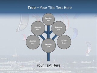 A Group Of Kites Being Flown Over The Ocean PowerPoint Template