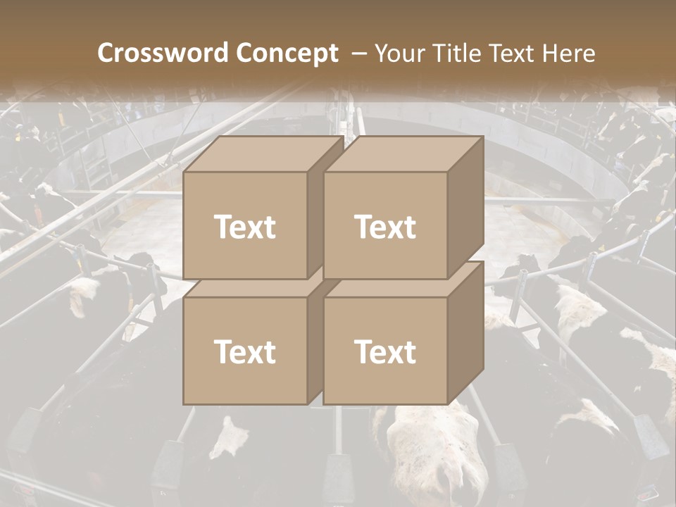 A Large Group Of Cows In A Pen PowerPoint Template