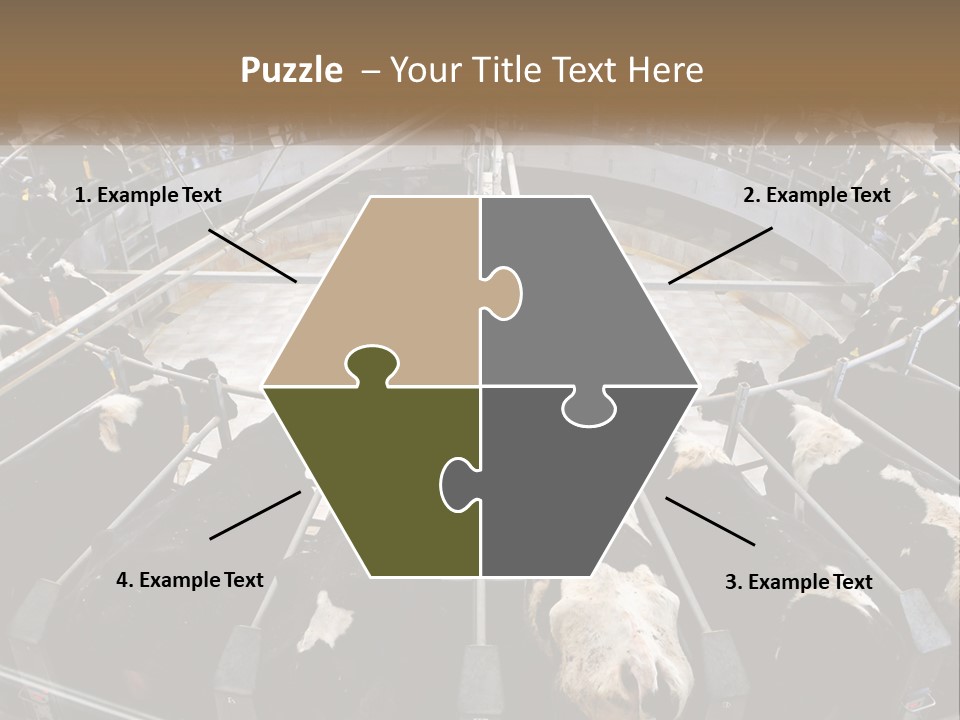 A Large Group Of Cows In A Pen PowerPoint Template