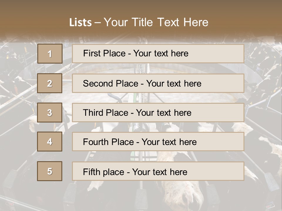 A Large Group Of Cows In A Pen PowerPoint Template