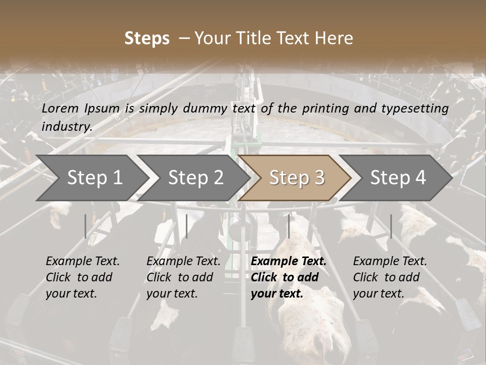 A Large Group Of Cows In A Pen PowerPoint Template