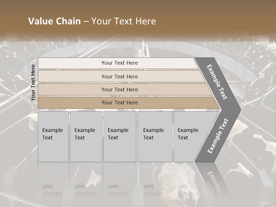 A Large Group Of Cows In A Pen PowerPoint Template
