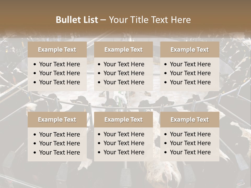 A Large Group Of Cows In A Pen PowerPoint Template