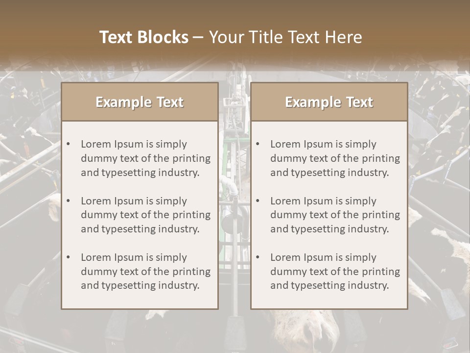 A Large Group Of Cows In A Pen PowerPoint Template