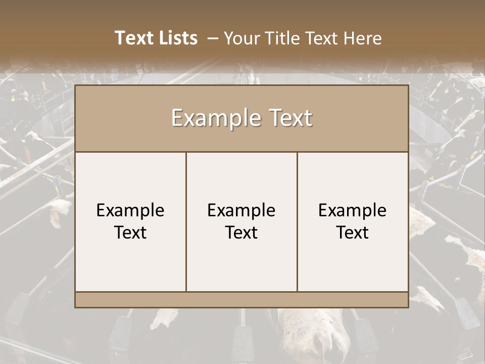 A Large Group Of Cows In A Pen PowerPoint Template