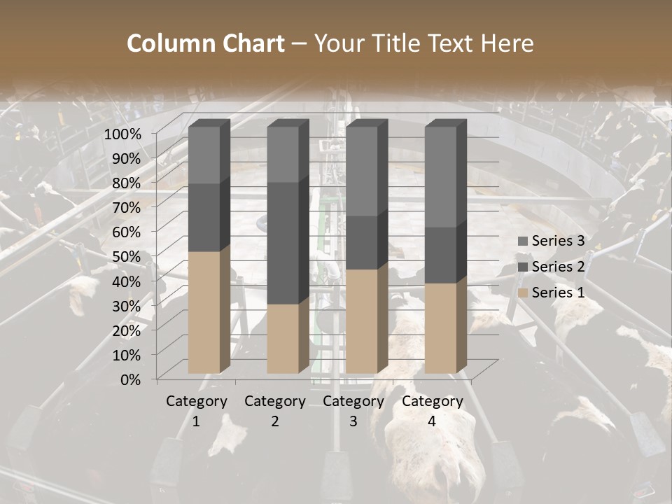 A Large Group Of Cows In A Pen PowerPoint Template