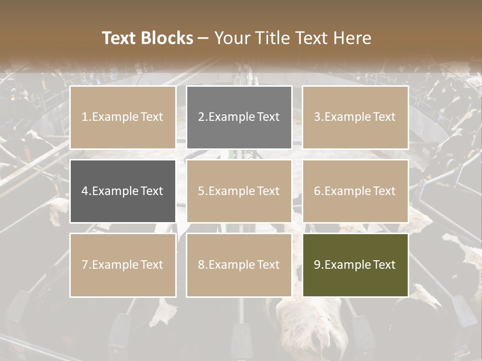 A Large Group Of Cows In A Pen PowerPoint Template