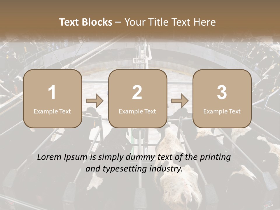 A Large Group Of Cows In A Pen PowerPoint Template