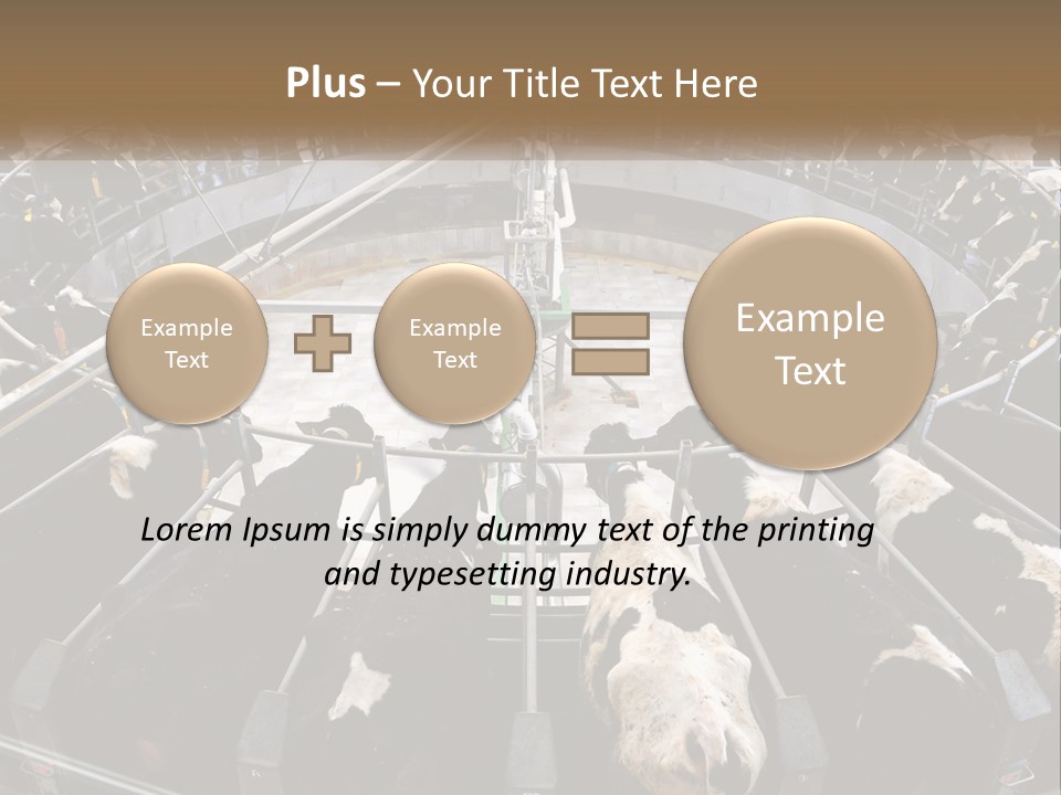 A Large Group Of Cows In A Pen PowerPoint Template