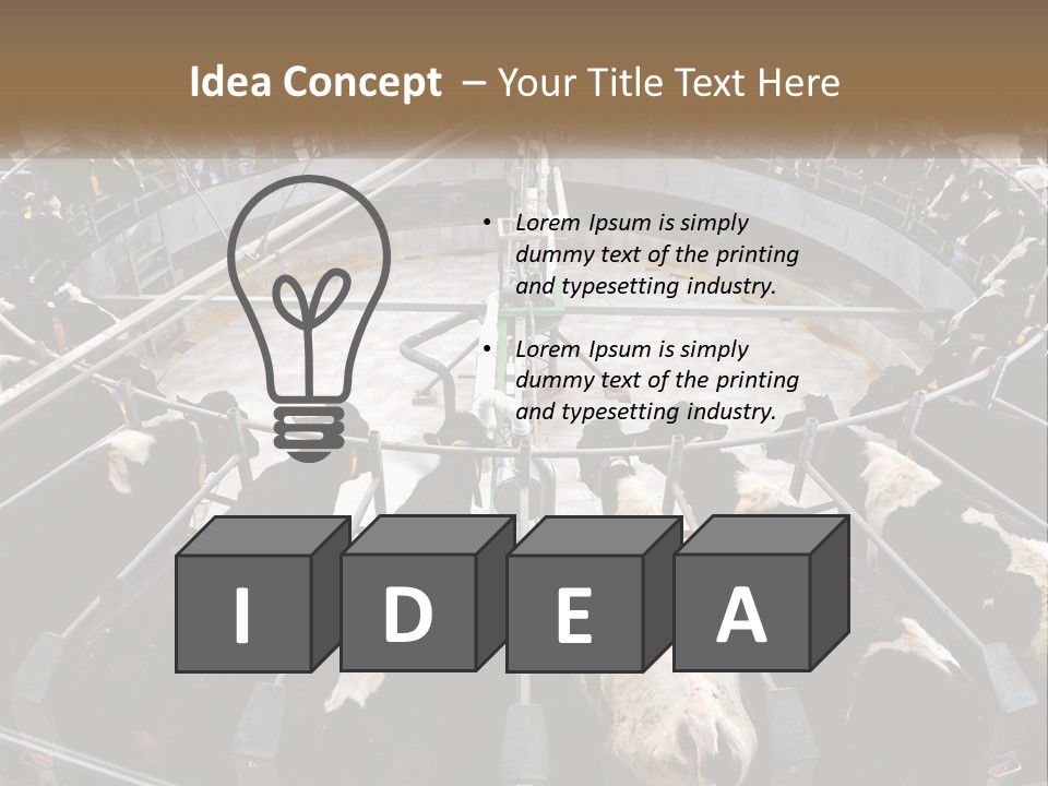 A Large Group Of Cows In A Pen PowerPoint Template