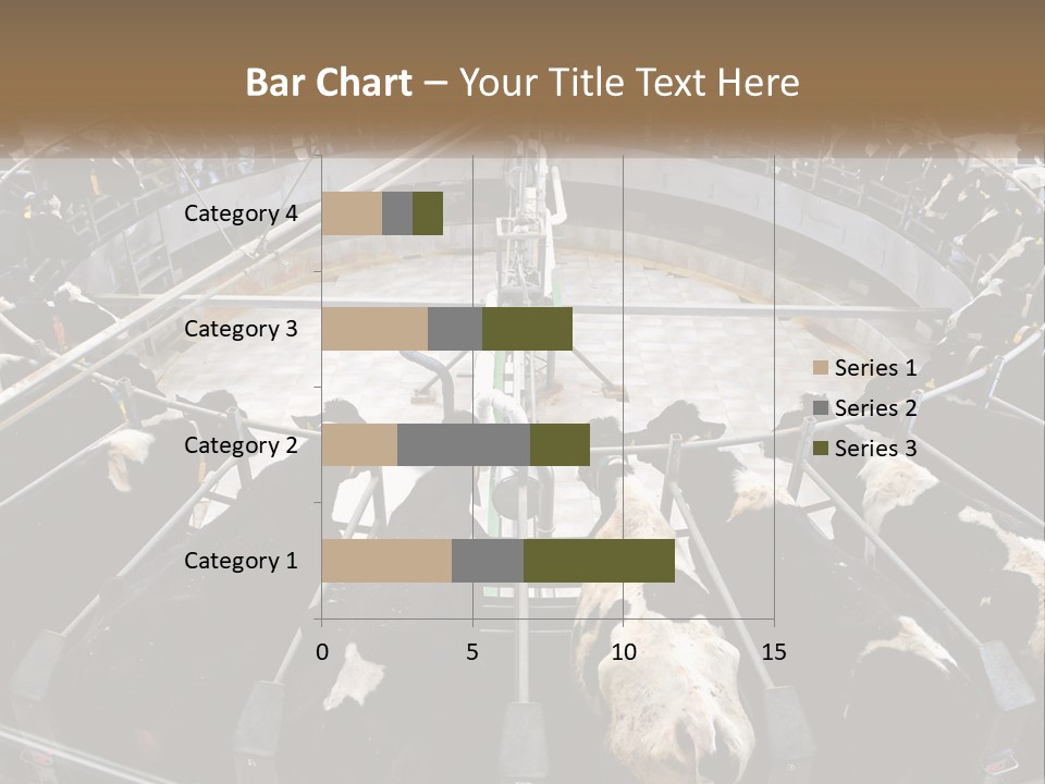A Large Group Of Cows In A Pen PowerPoint Template