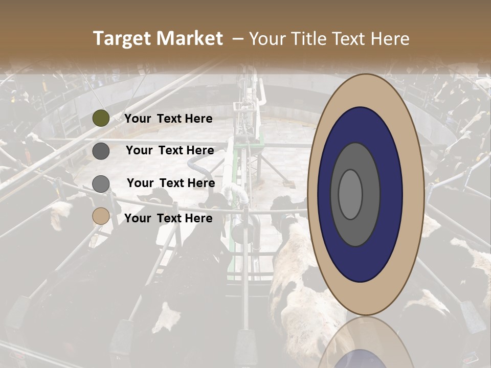 A Large Group Of Cows In A Pen PowerPoint Template