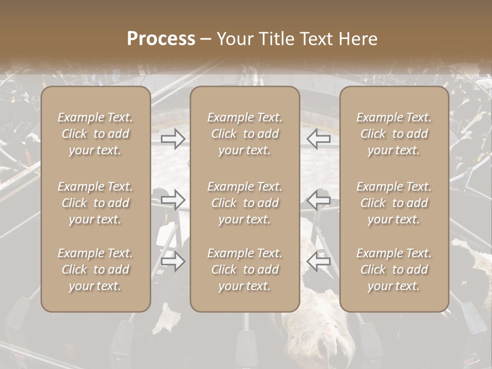 A Large Group Of Cows In A Pen PowerPoint Template