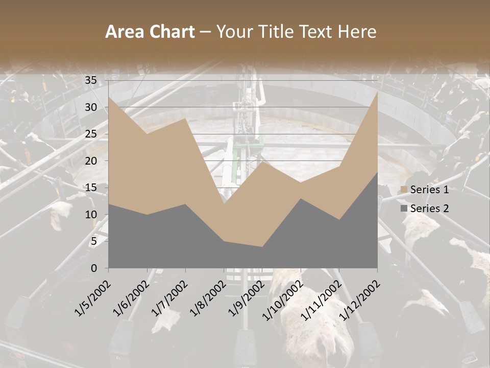 A Large Group Of Cows In A Pen PowerPoint Template