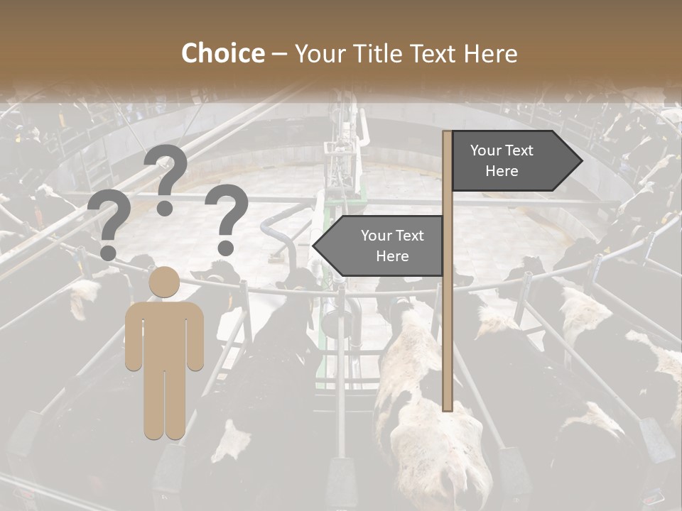 A Large Group Of Cows In A Pen PowerPoint Template