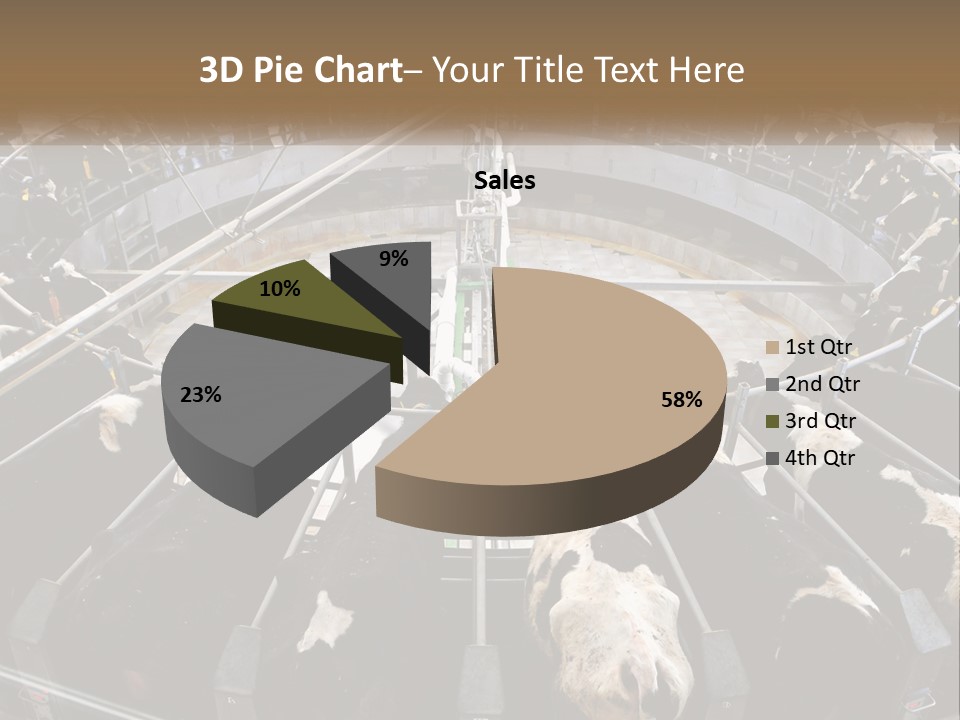 A Large Group Of Cows In A Pen PowerPoint Template