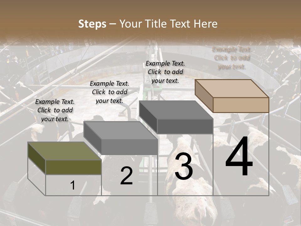 A Large Group Of Cows In A Pen PowerPoint Template