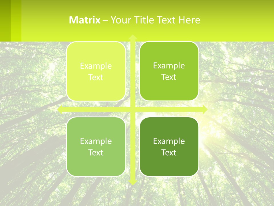 A Green Forest With The Sun Shining Through The Trees PowerPoint Template