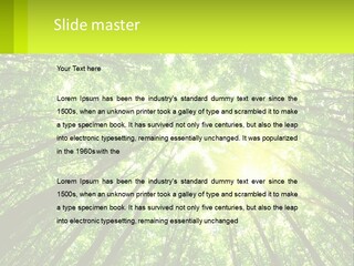 A Green Forest With The Sun Shining Through The Trees PowerPoint Template