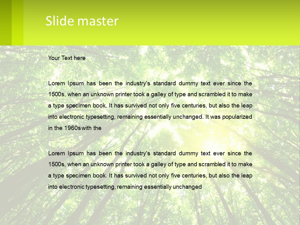 A Green Forest With The Sun Shining Through The Trees PowerPoint Template