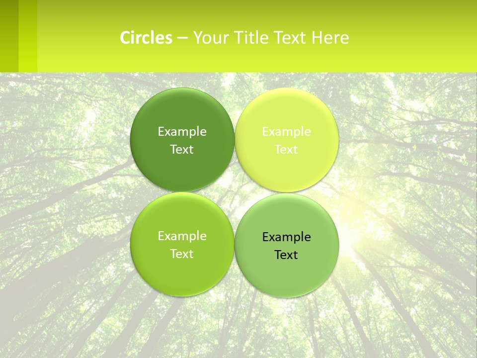 A Green Forest With The Sun Shining Through The Trees PowerPoint Template