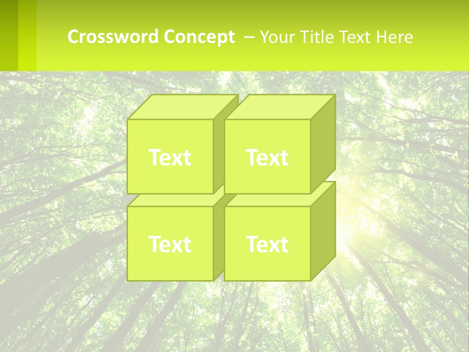 A Green Forest With The Sun Shining Through The Trees PowerPoint Template