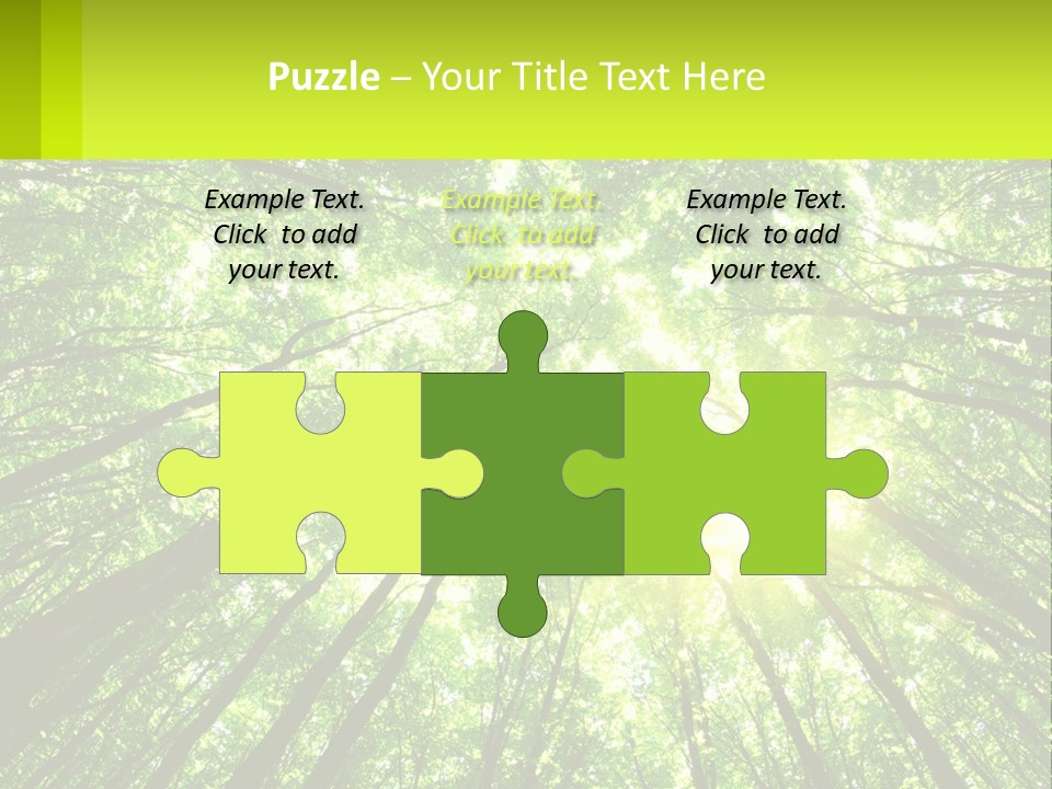 A Green Forest With The Sun Shining Through The Trees PowerPoint Template