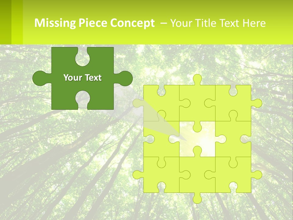 A Green Forest With The Sun Shining Through The Trees PowerPoint Template