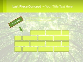 A Green Forest With The Sun Shining Through The Trees PowerPoint Template