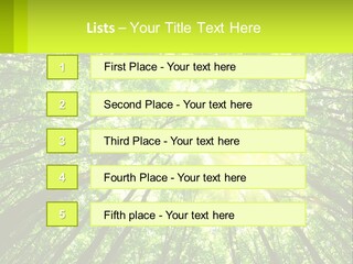 A Green Forest With The Sun Shining Through The Trees PowerPoint Template