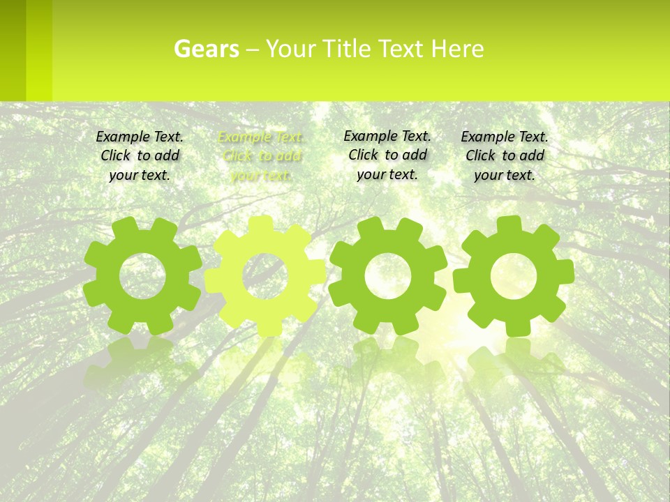 A Green Forest With The Sun Shining Through The Trees PowerPoint Template