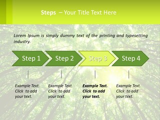 A Green Forest With The Sun Shining Through The Trees PowerPoint Template