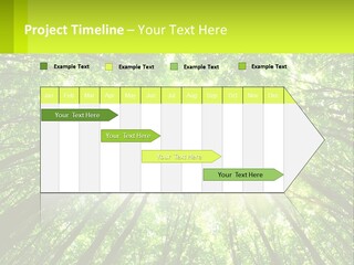 A Green Forest With The Sun Shining Through The Trees PowerPoint Template
