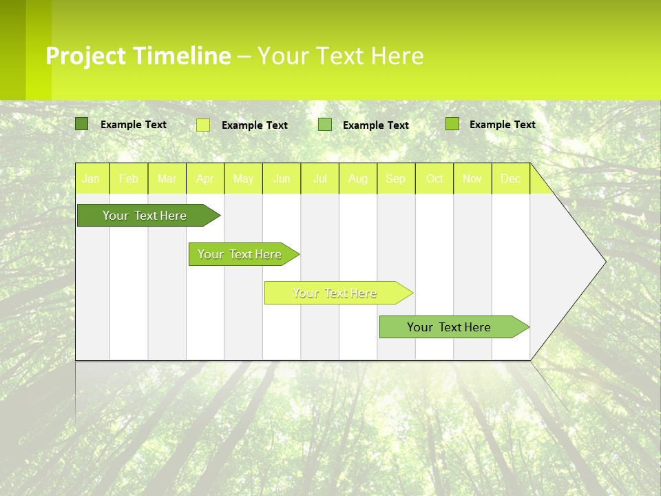 A Green Forest With The Sun Shining Through The Trees PowerPoint Template