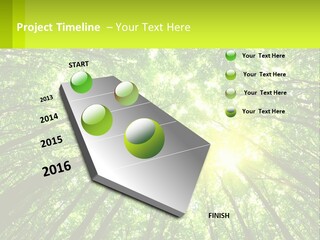 A Green Forest With The Sun Shining Through The Trees PowerPoint Template