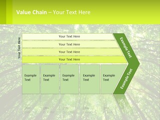 A Green Forest With The Sun Shining Through The Trees PowerPoint Template