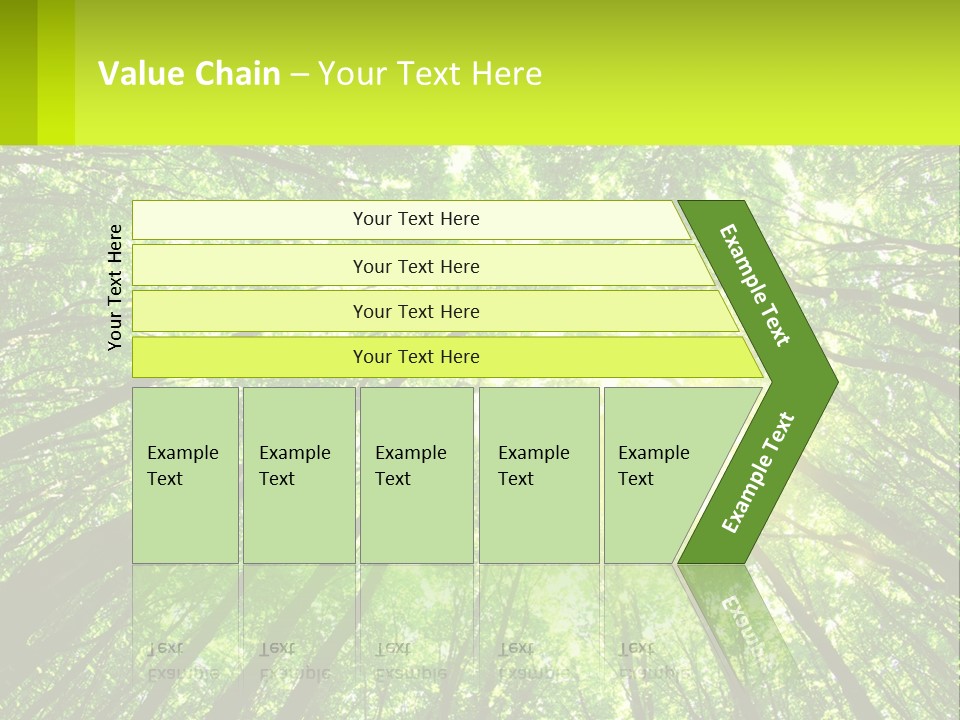 A Green Forest With The Sun Shining Through The Trees PowerPoint Template