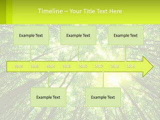 A Green Forest With The Sun Shining Through The Trees PowerPoint Template