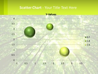 A Green Forest With The Sun Shining Through The Trees PowerPoint Template