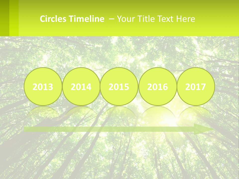 A Green Forest With The Sun Shining Through The Trees PowerPoint Template