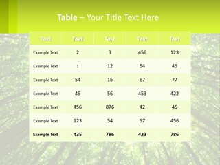 A Green Forest With The Sun Shining Through The Trees PowerPoint Template