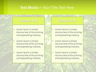 A Green Forest With The Sun Shining Through The Trees PowerPoint Template