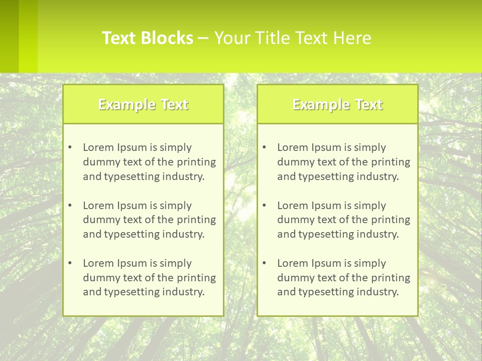 A Green Forest With The Sun Shining Through The Trees PowerPoint Template