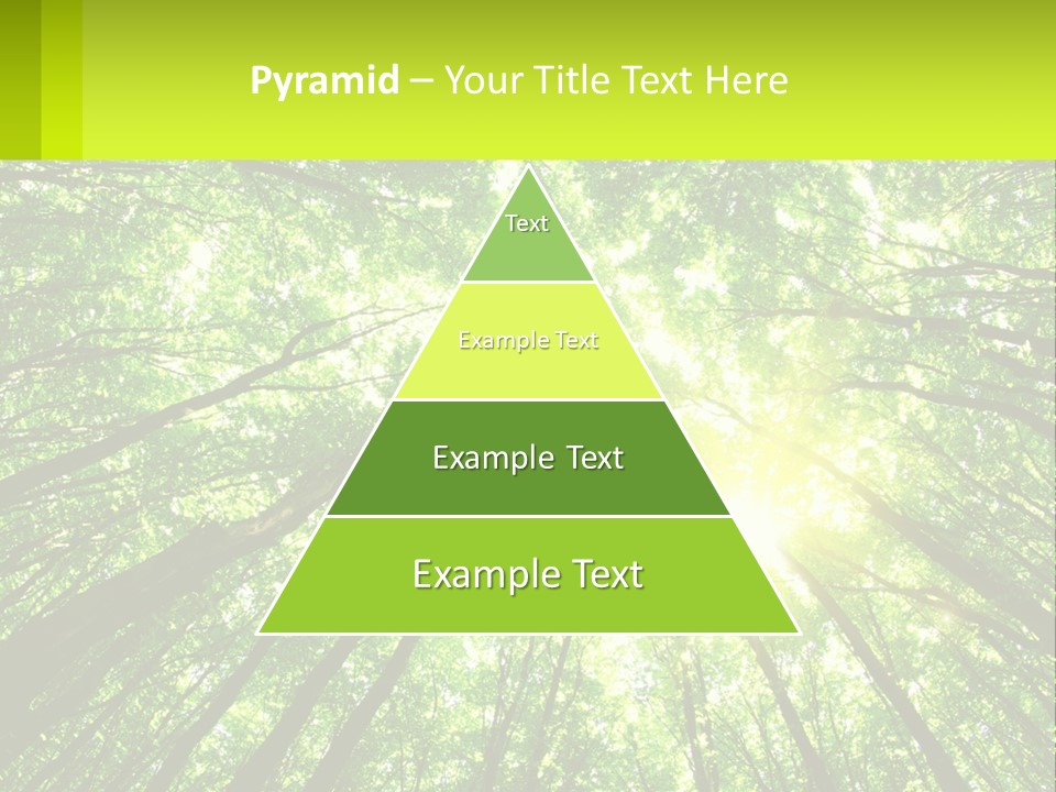 A Green Forest With The Sun Shining Through The Trees PowerPoint Template