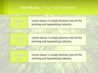 A Green Forest With The Sun Shining Through The Trees PowerPoint Template