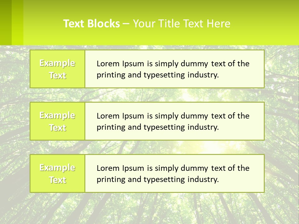 A Green Forest With The Sun Shining Through The Trees PowerPoint Template