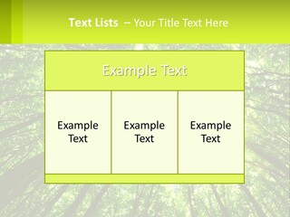 A Green Forest With The Sun Shining Through The Trees PowerPoint Template
