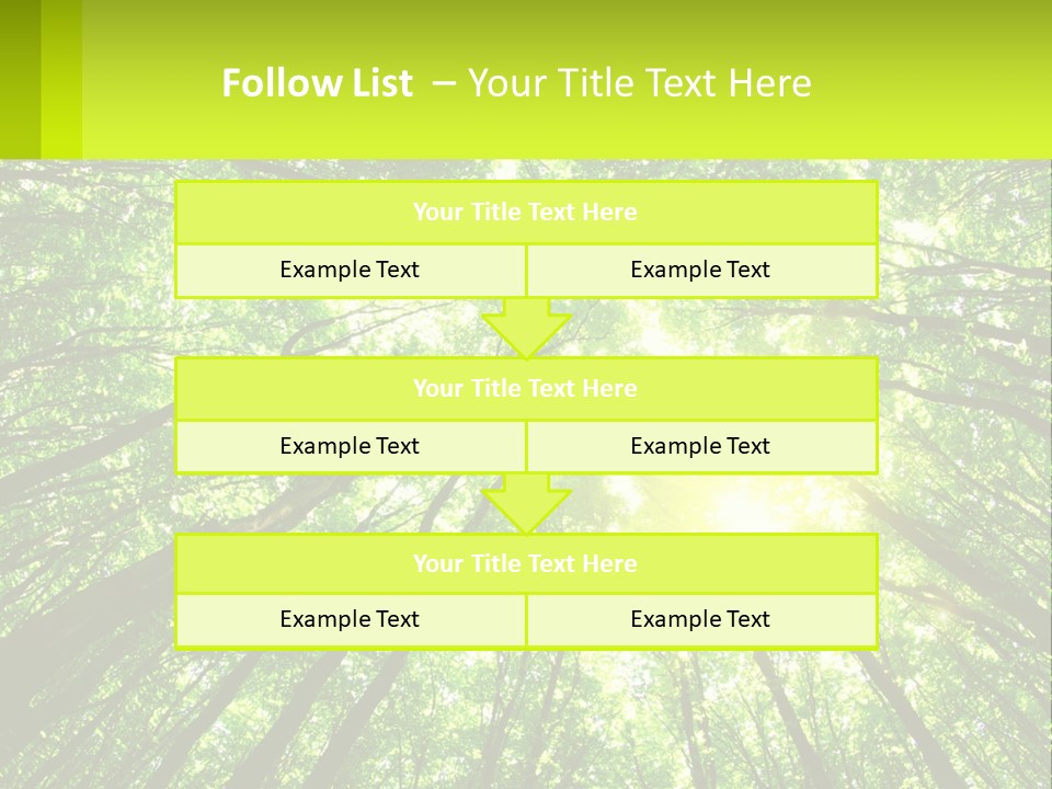 A Green Forest With The Sun Shining Through The Trees PowerPoint Template